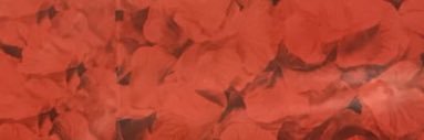 Yuka banner