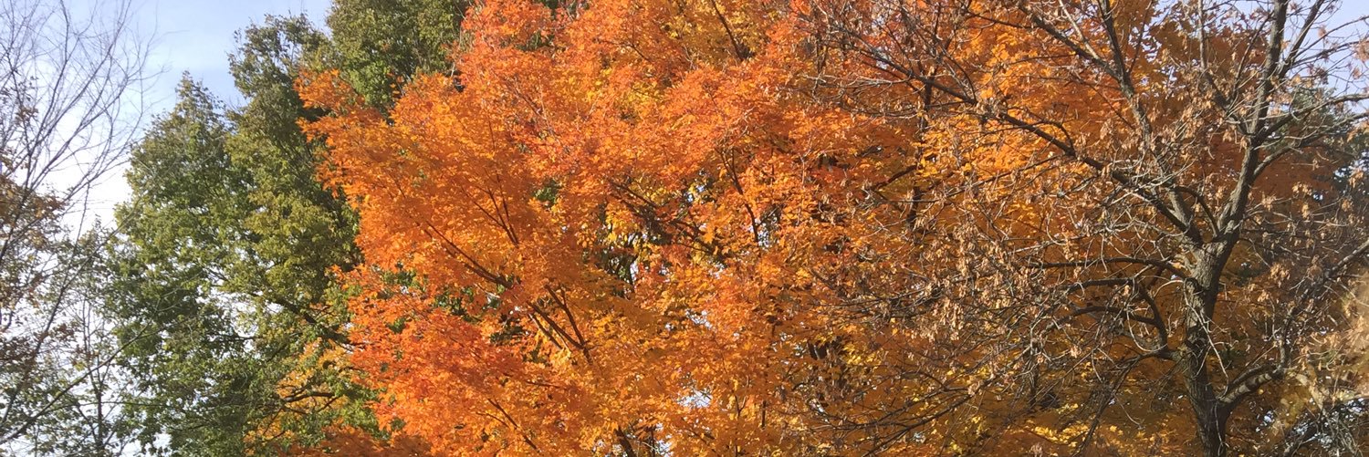 RedBeaVeR's profile banner image