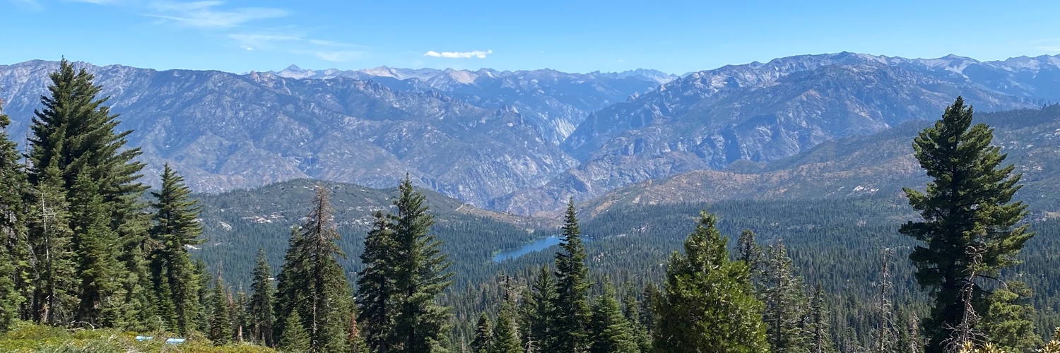 Wallfacer’s Smile banner