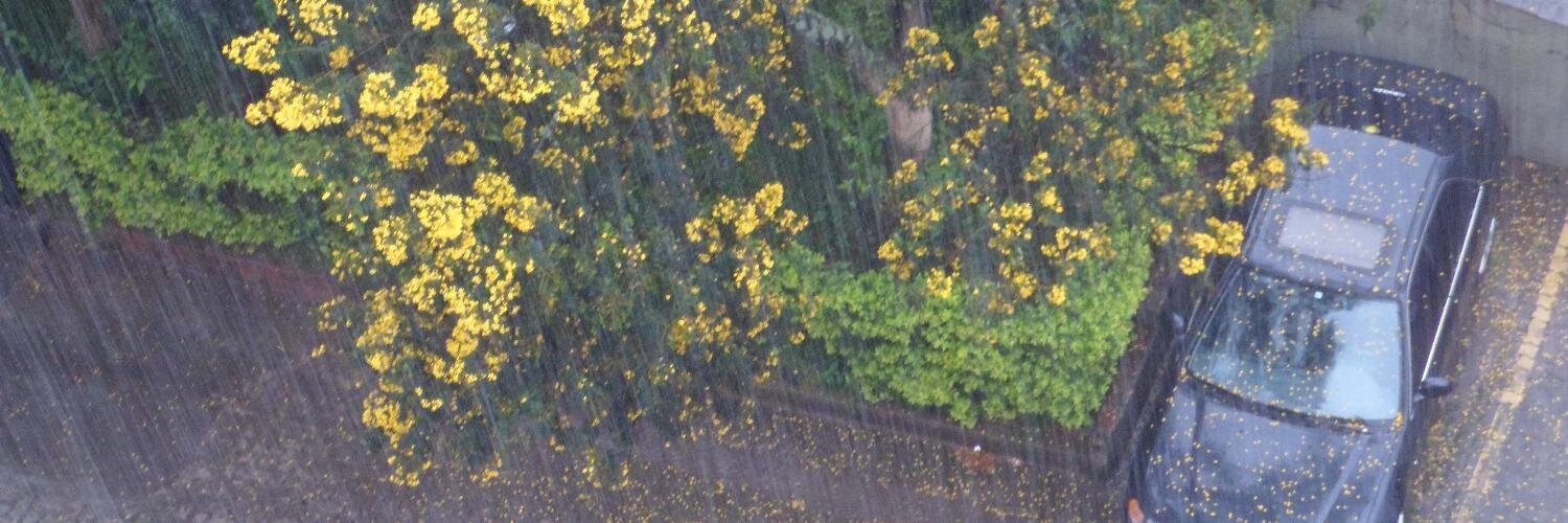 karen__'s profile banner image