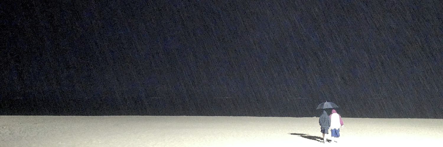 𝒂𝒍𝒕 ₊˚.ᐟ banner