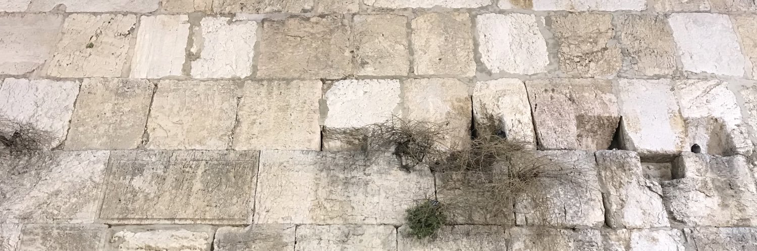 Israel in Miami banner