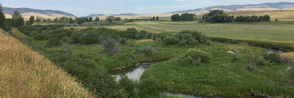 Anthony Warrender banner