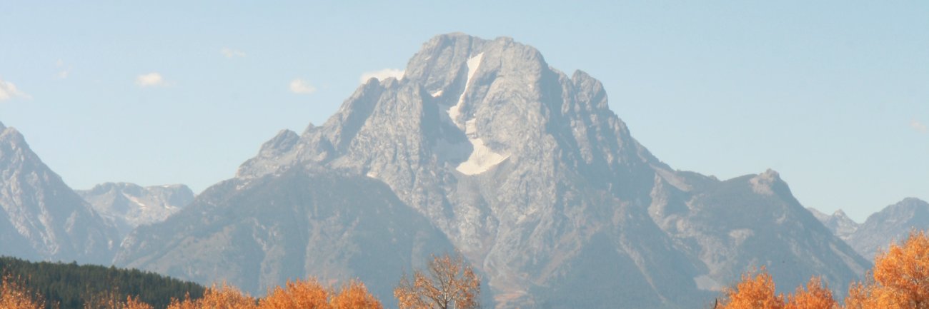 mjwalds's profile banner image