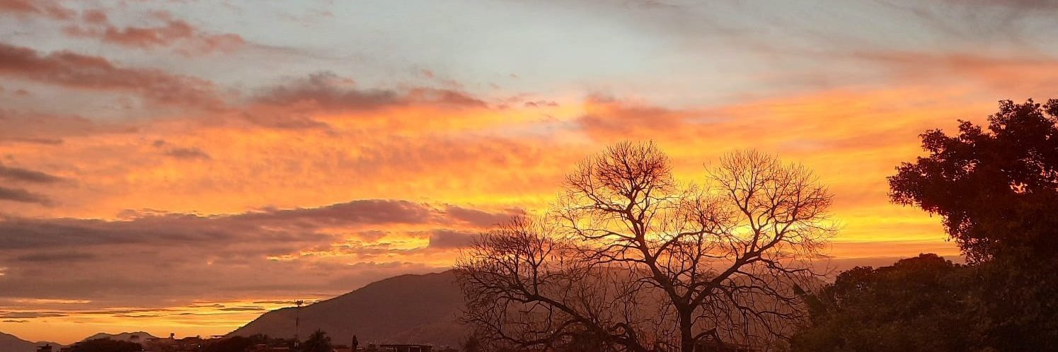 #!N'dulo➜https://nzilalabs.sh banner