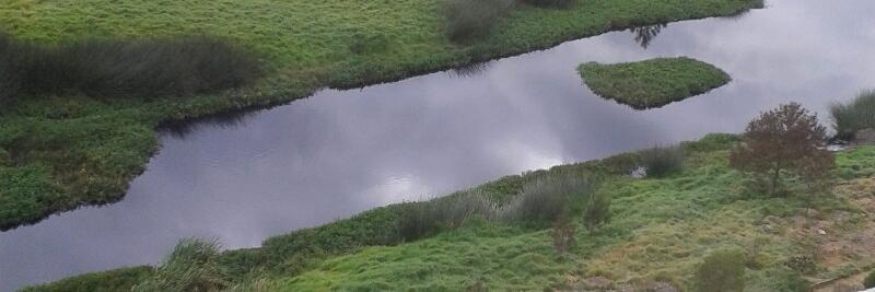 Cesar Augusto CDLM banner