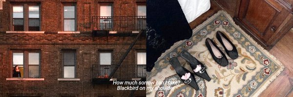 diary__of__han Profile Banner