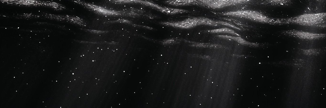 OneCoconuT1203's profile banner image
