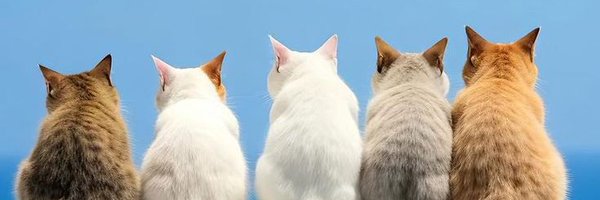 istinawar1 Profile Banner