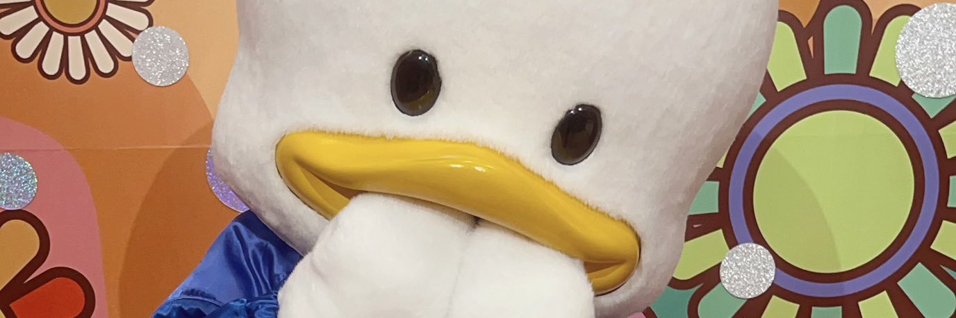 あぴ🐻🐝 banner
