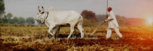 Bijaymehtaji Profile Banner