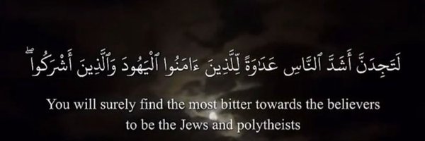 chai_zaferooni Profile Banner