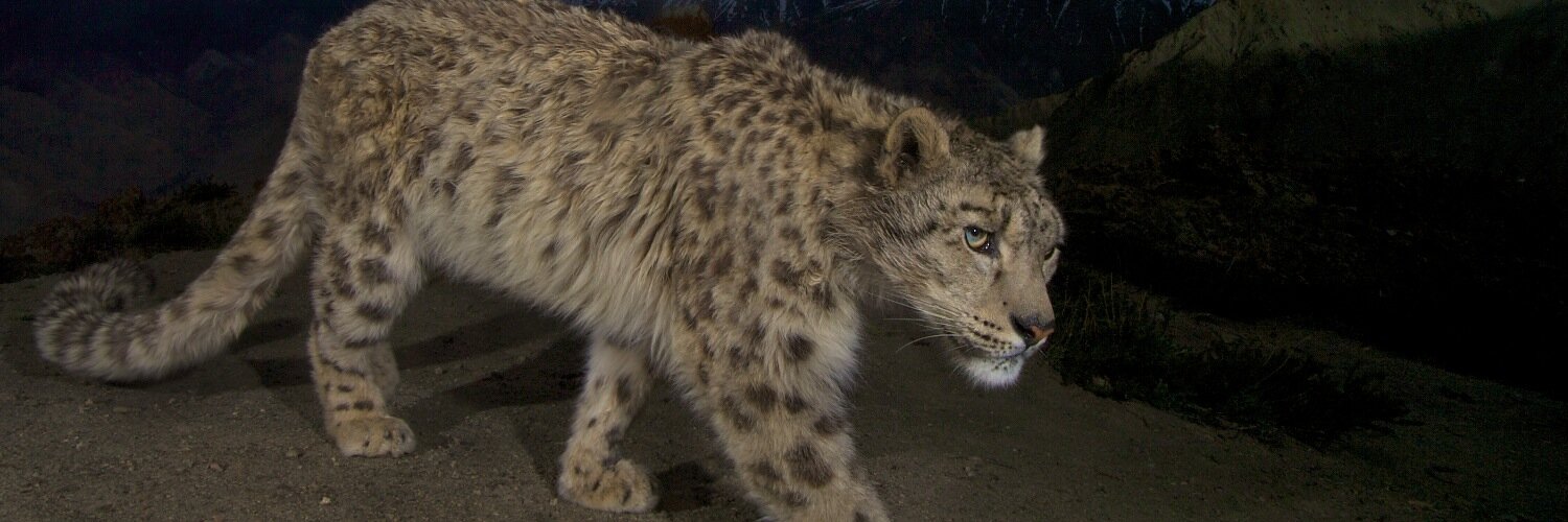 Steve Winter Photo banner