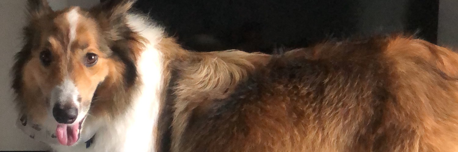 marcelovieiraa_'s profile banner image