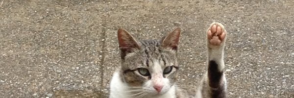 ylan0 Profile Banner