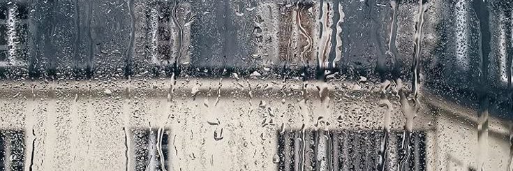 아삭 banner