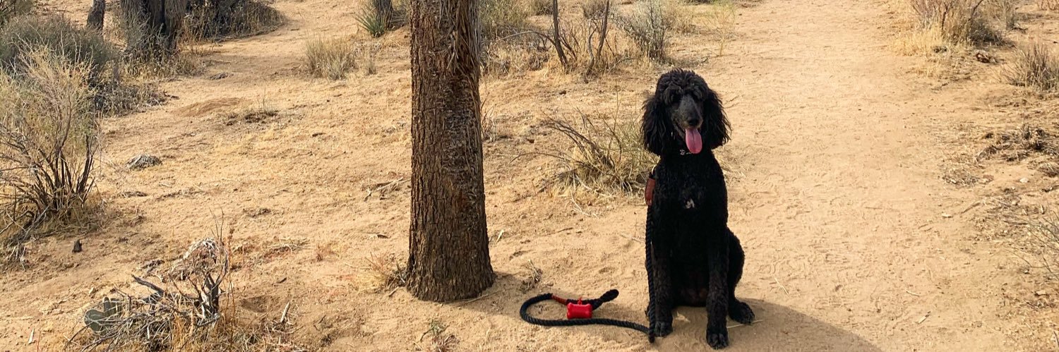 Jene Wheeless banner