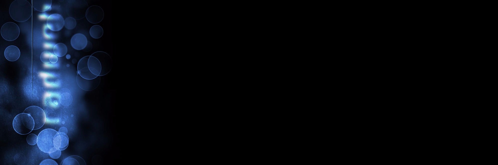 Steve Rad banner