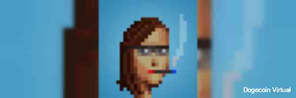 dodecoingvirtu's profile banner image