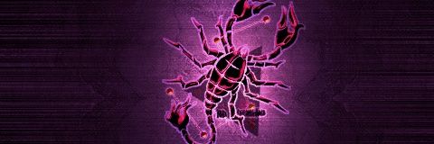 𝙎𝙝𝙞𝙧𝙡𝙚𝙮's banner