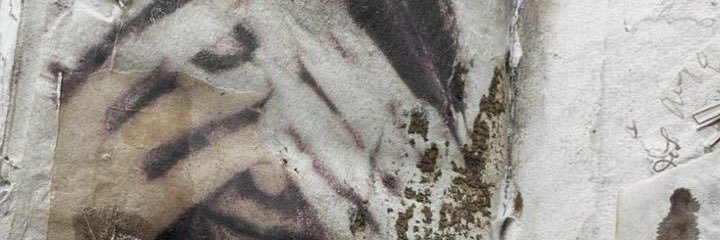 lana banner