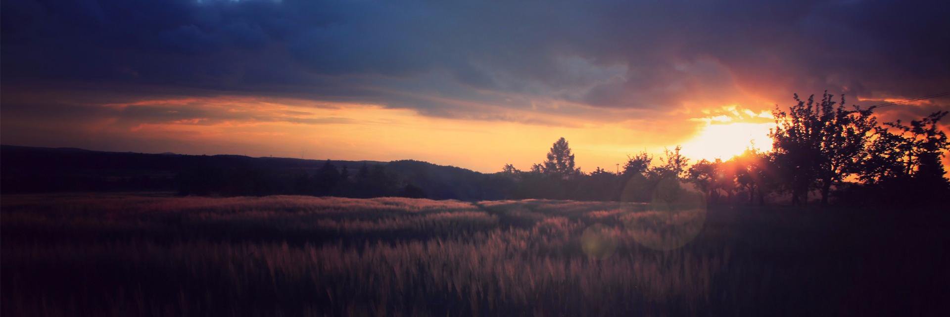 magic_number's profile banner image