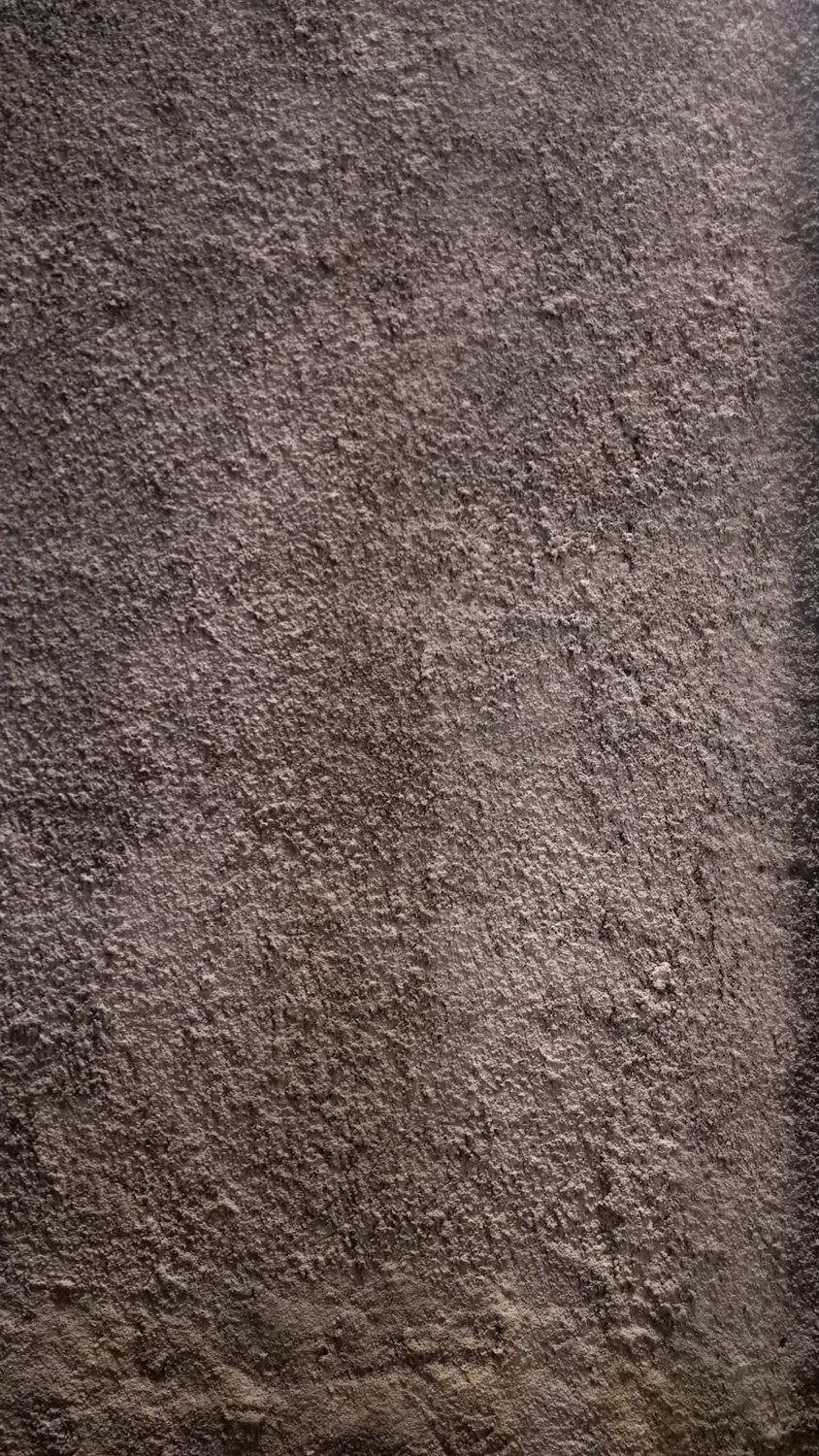 David Palinas banner