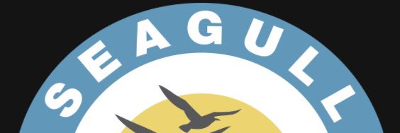 SeagullALTHS banner