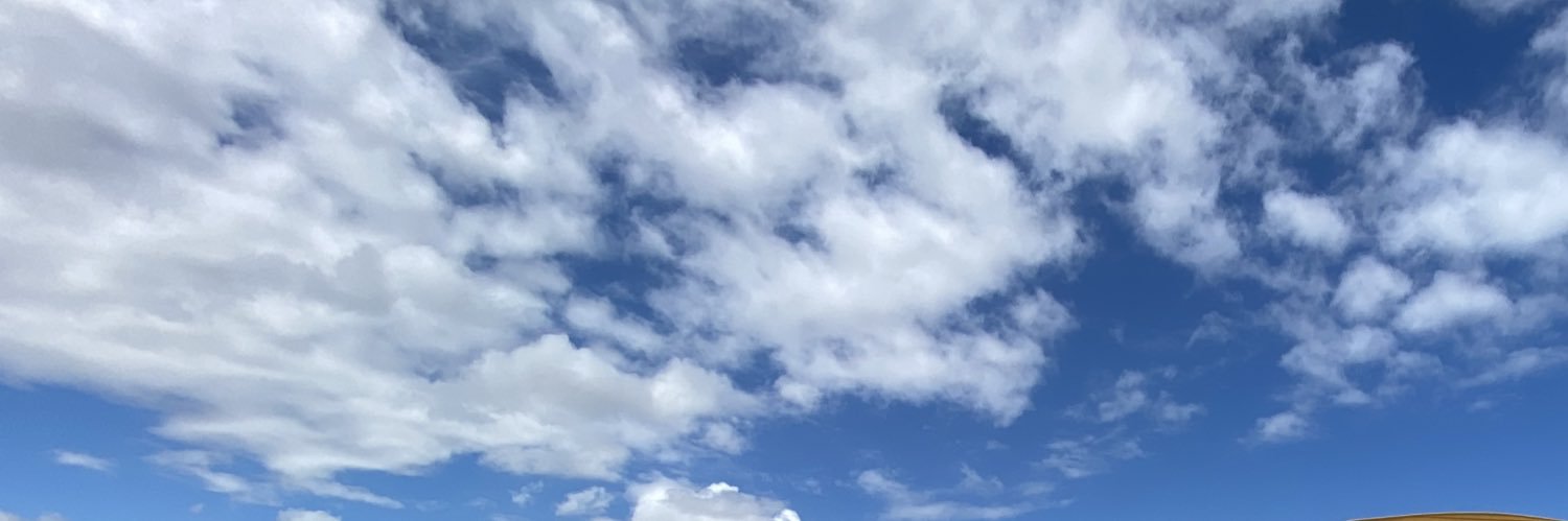 Will Corcoran banner