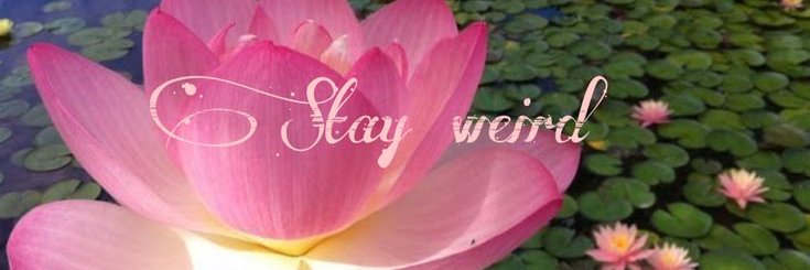 meera ⭑.ᐟ comms open banner