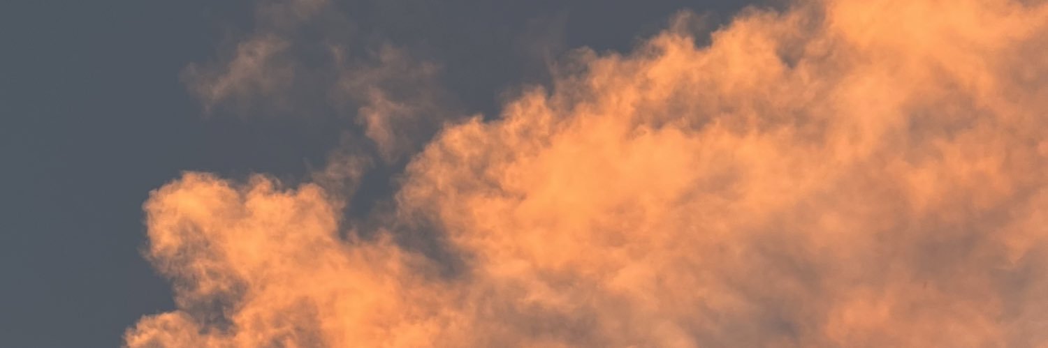 rorroguev's profile banner image