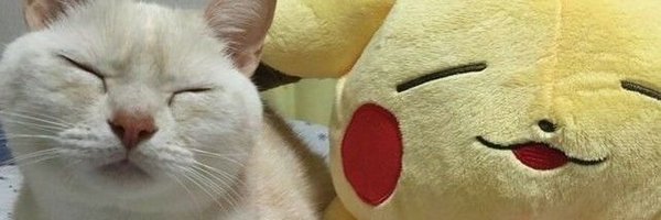 mikewerzi Profile Banner