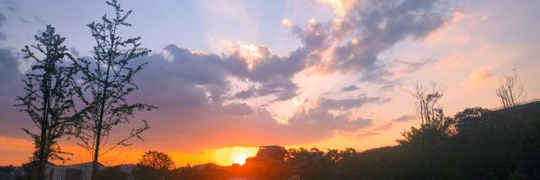 Girl_in_HuaXi Profile Banner