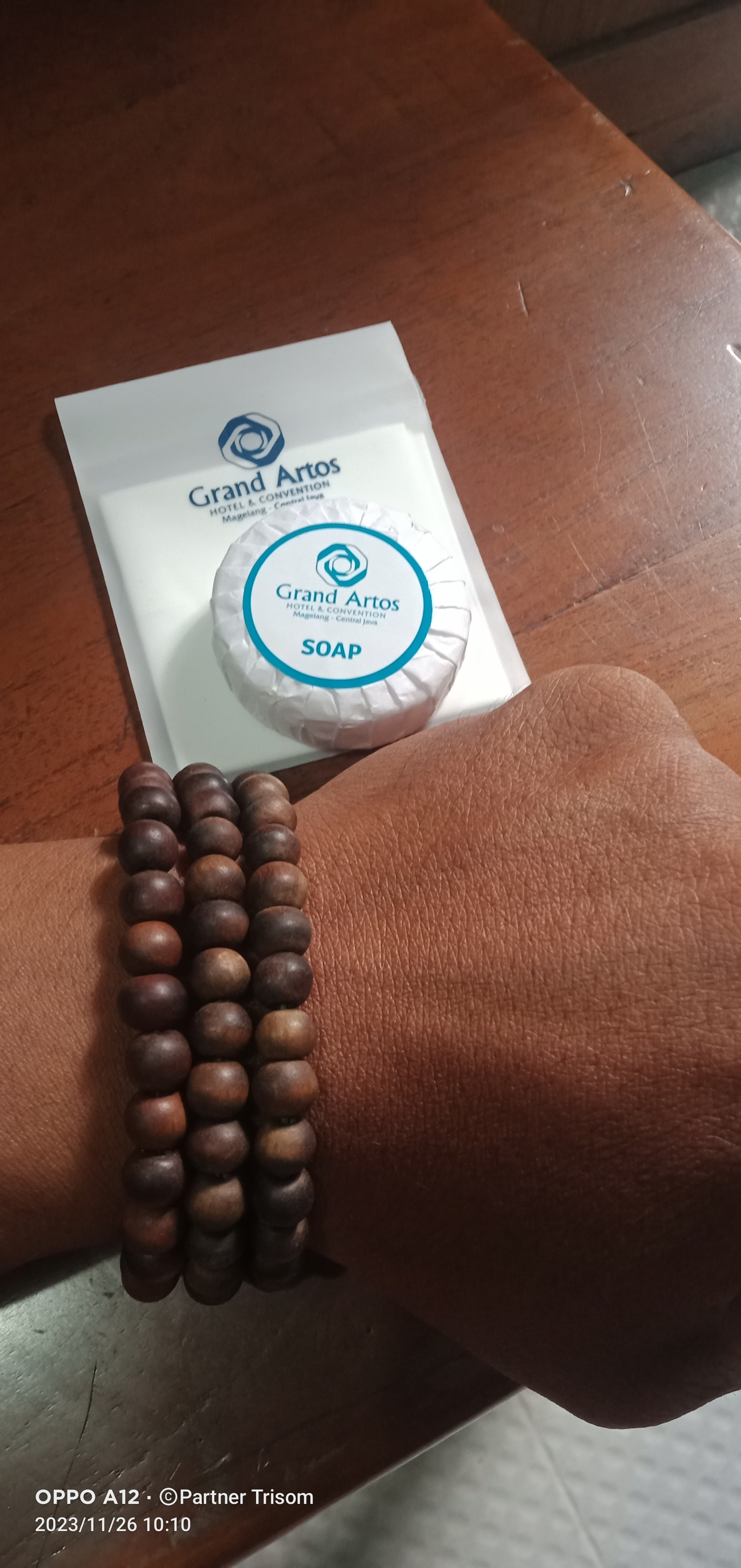 TrisomPartner banner