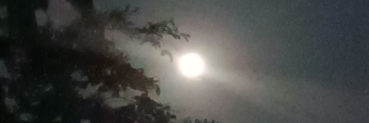 CalamityMoh's profile banner image