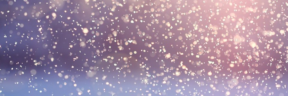 ericawebdev's profile banner image