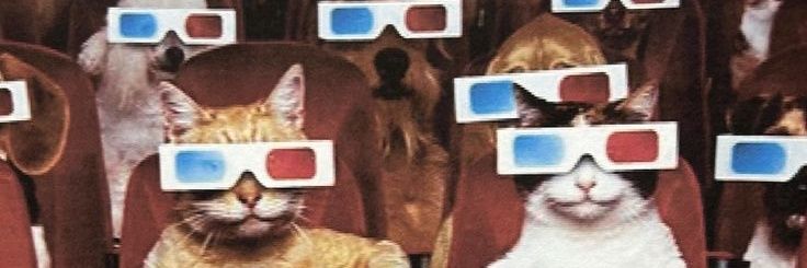 miNyem🐈‍⬛ banner