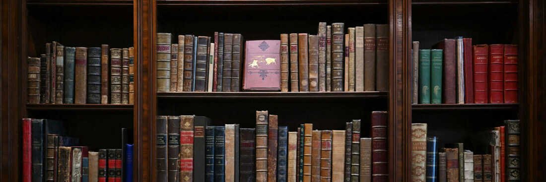 The Top Reads banner