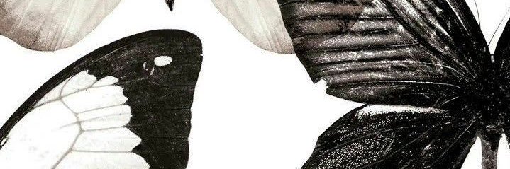 yyy banner