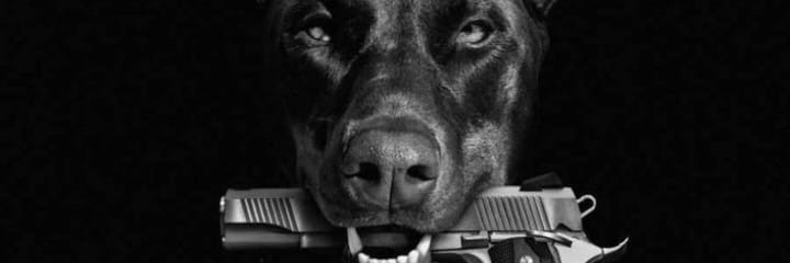 Angry_AI 🇰🇪 banner