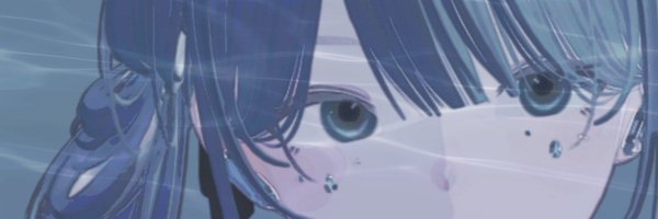 _viin2 Profile Banner