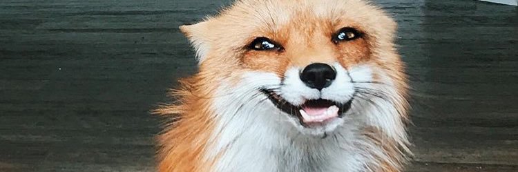 bremarava's profile banner image