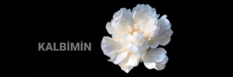 Denisland23's profile banner image