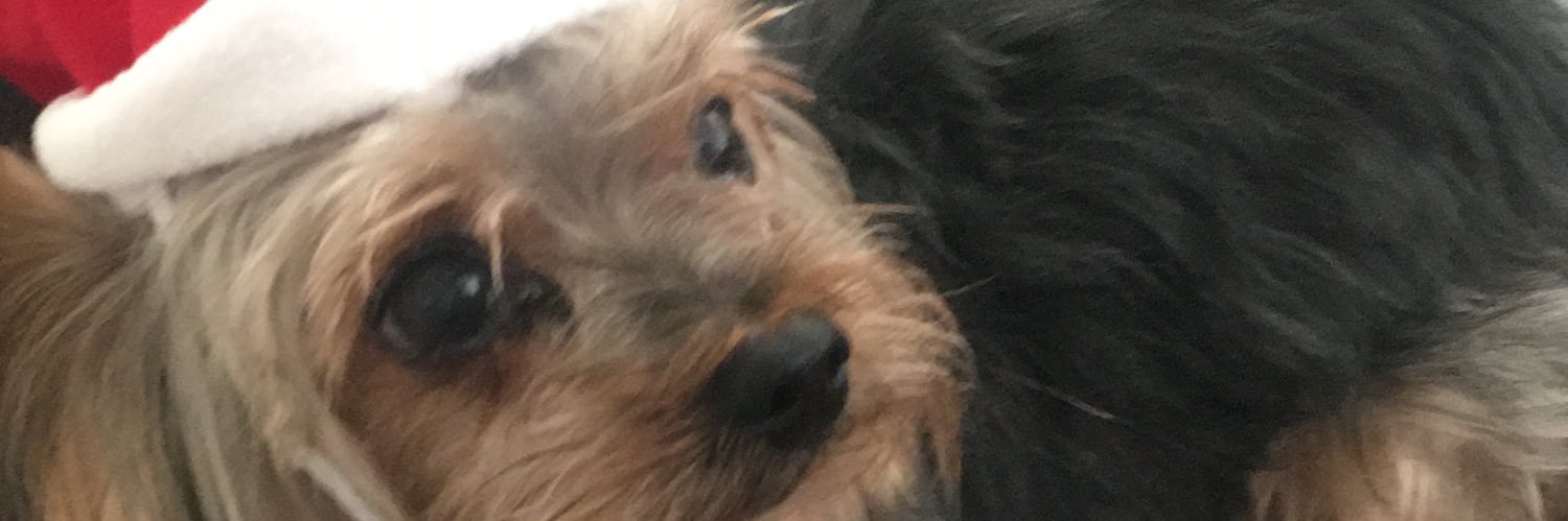 wheresmath's profile banner image