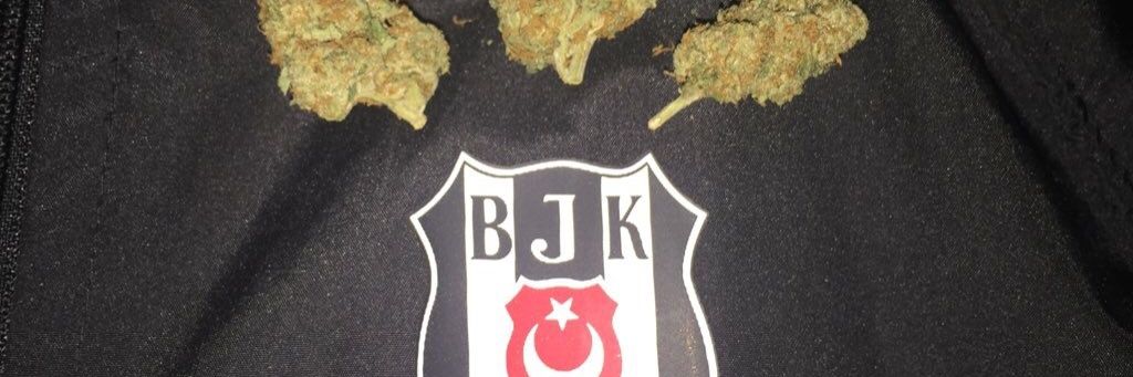 Canna JK's banner