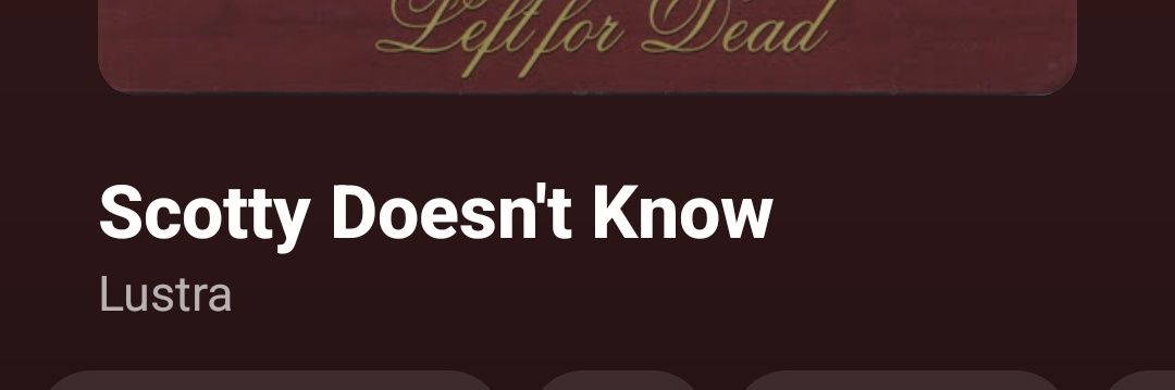 mr. irrelevant banner