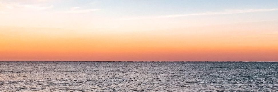 Alana Dweck ✡️ banner