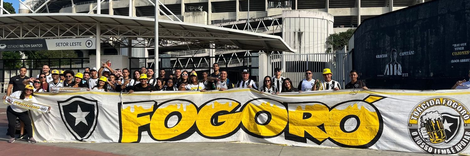 daienebotafogo's profile banner image