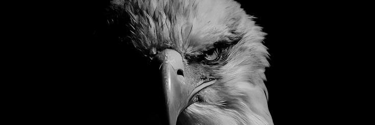 eagle19_03's profile banner image