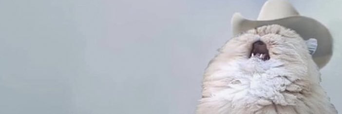 dkdmac's profile banner image